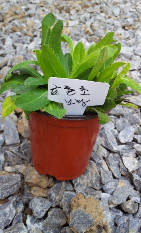 cafe0928214539.jpg