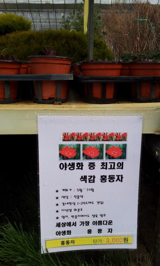 cafe0928192904.jpg