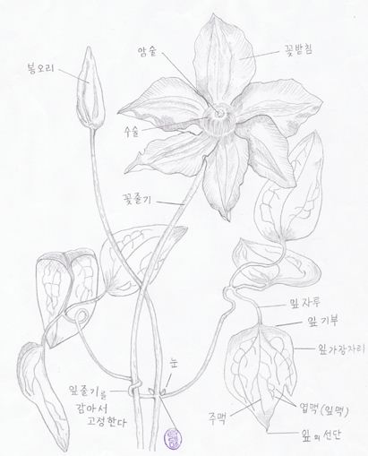 cafe0928183541.jpg