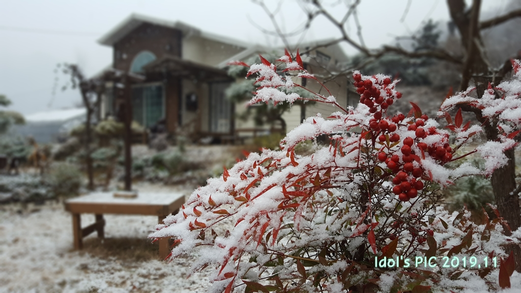 cafe0929111124.jpg