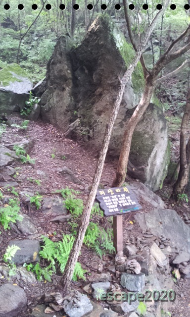 news0930191109.jpg