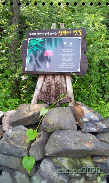 news0930191116.jpg