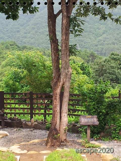 news0930191115.jpg