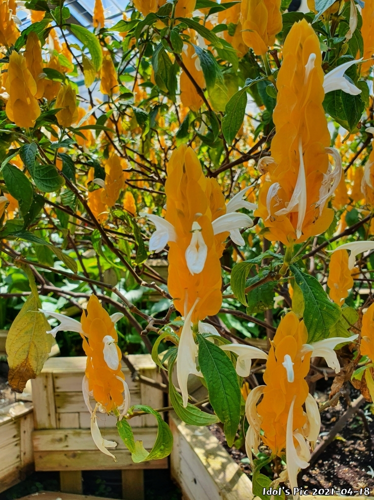 news0930191078.jpg
