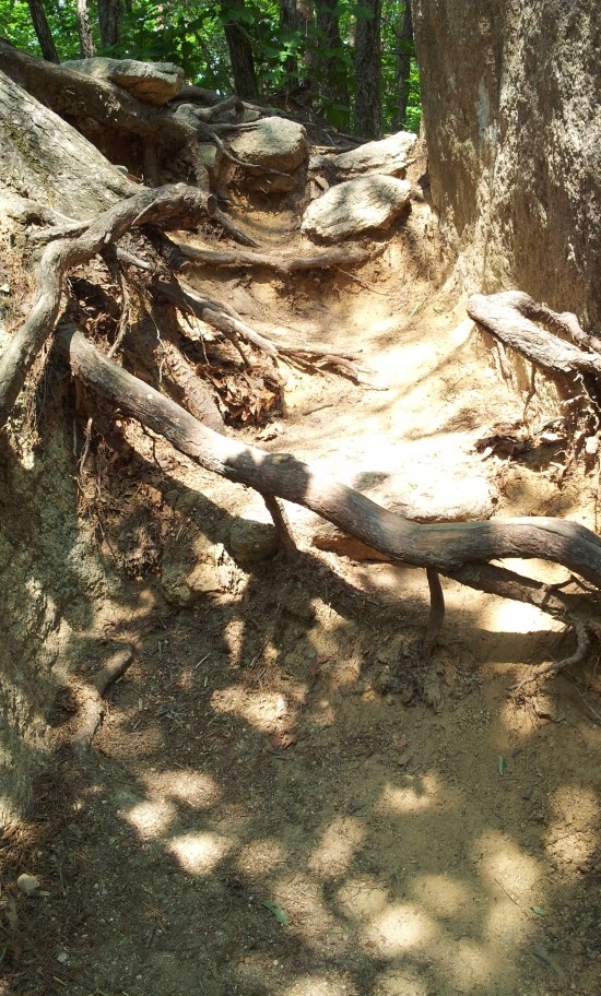 news0930135109.jpg