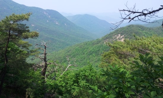 news0930135107.jpg