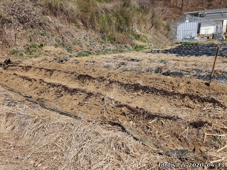 farm1002213901.jpg