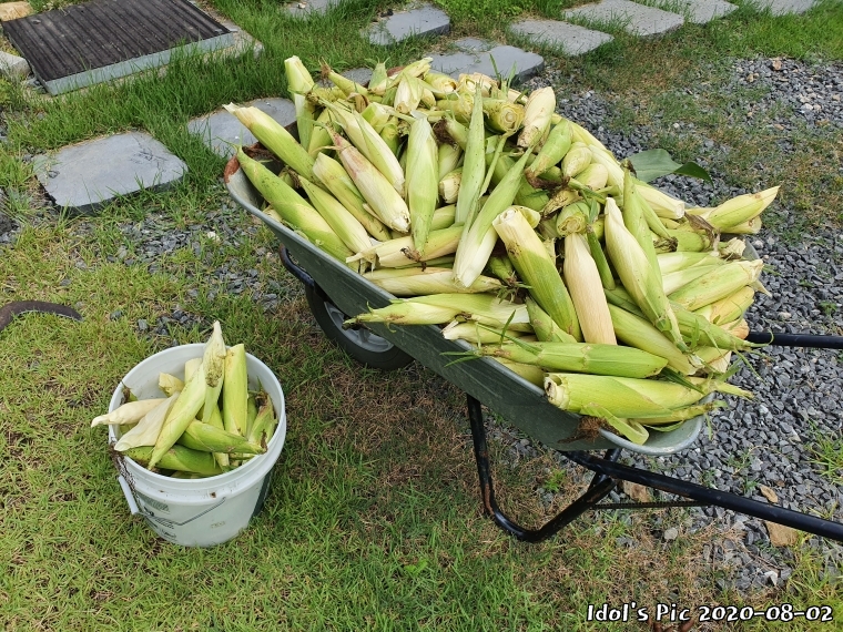 farm1002213913.jpg