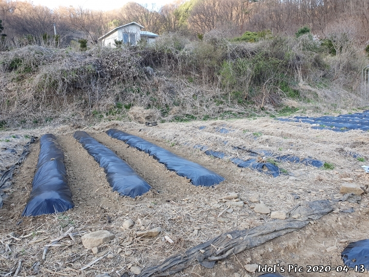 farm1002213905.jpg