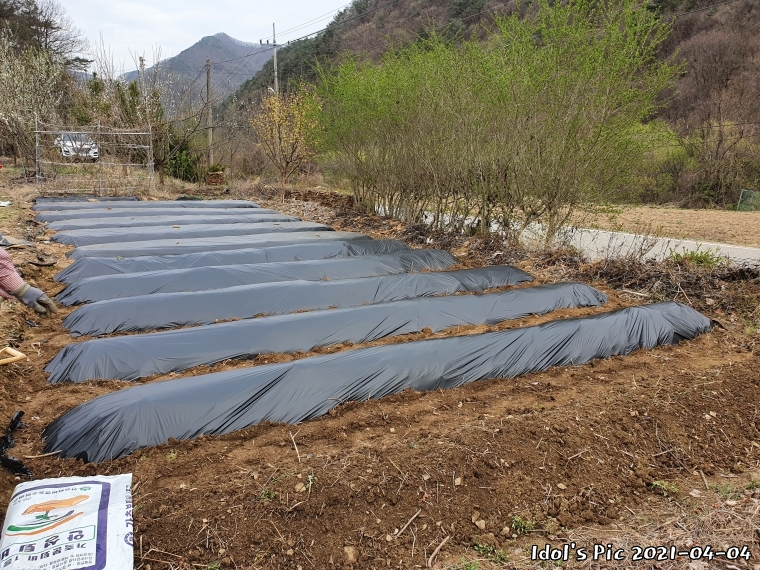 farm1002213972.jpg