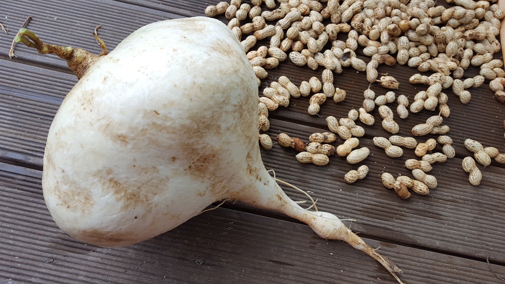 FARM1002170701.jpg