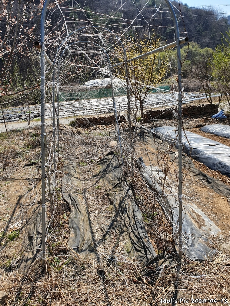 farm1002213909.jpg