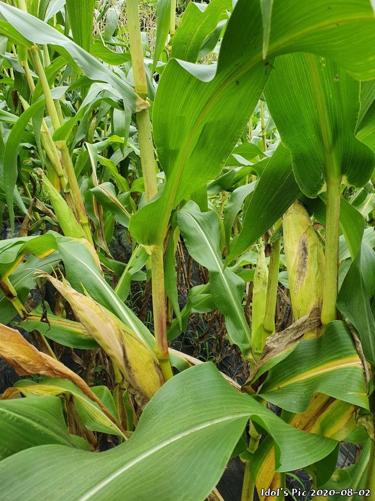 farm1002213912.jpg