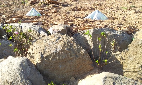farm1002130224.jpg