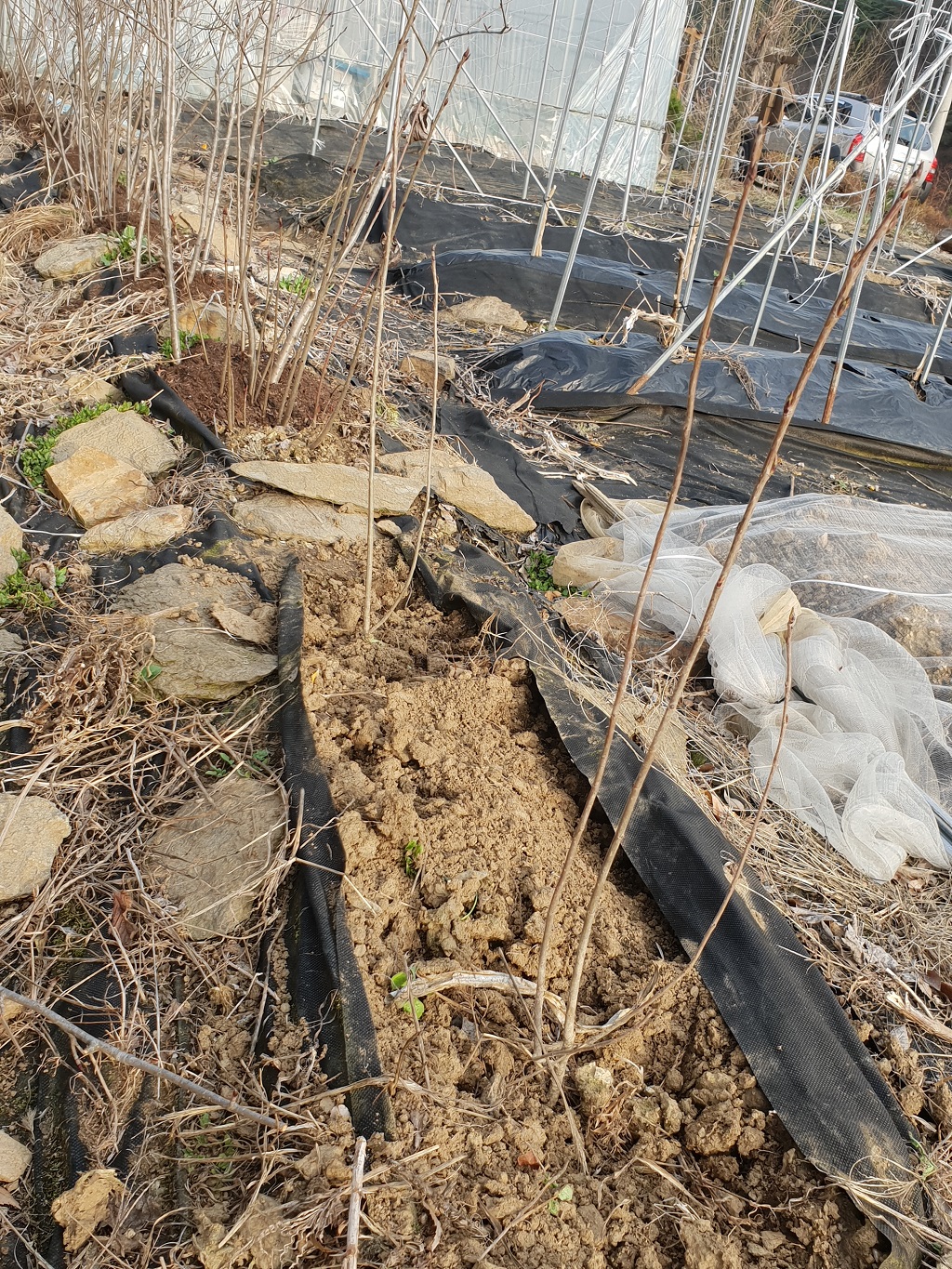 farm1002170713.jpg