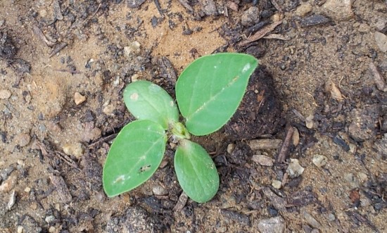 farm1002130210.jpg