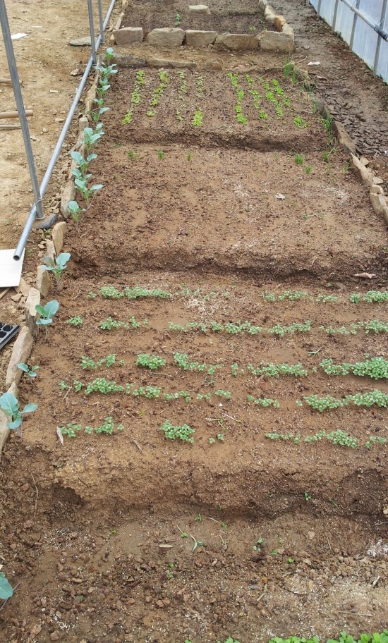 farm1002130201.jpg