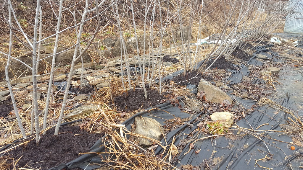 farm1002170712.jpg