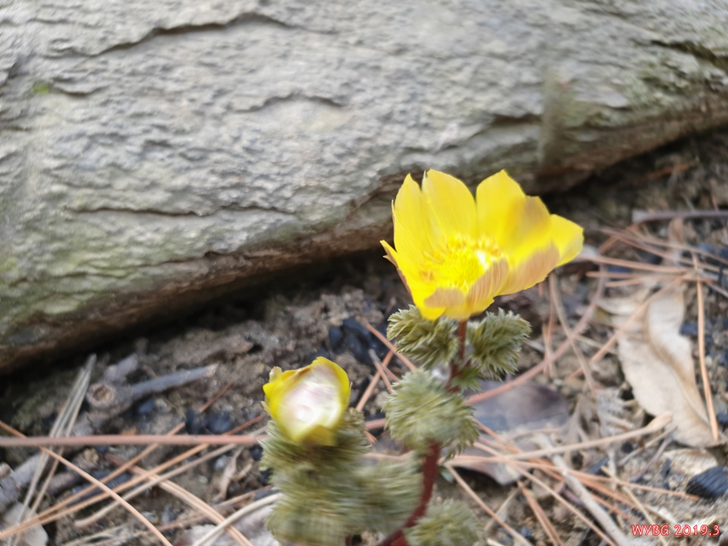farm1002170793.jpg