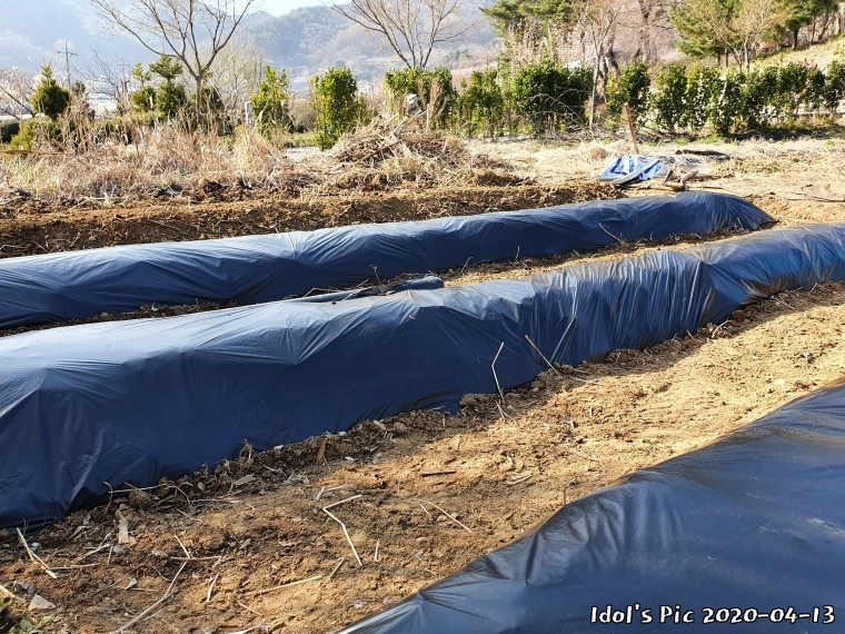 farm1002213904.jpg
