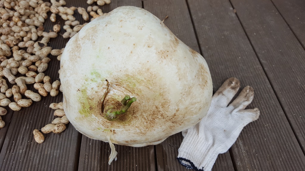 FARM1002170703.jpg