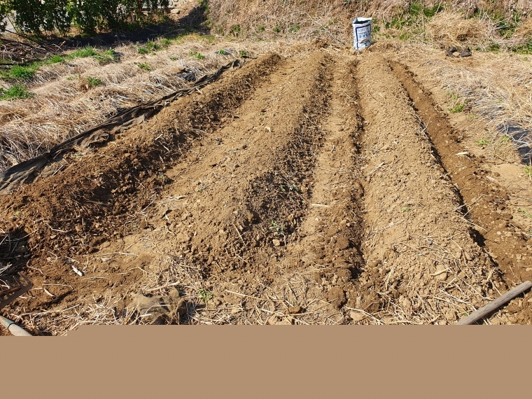 farm1002213902.jpg