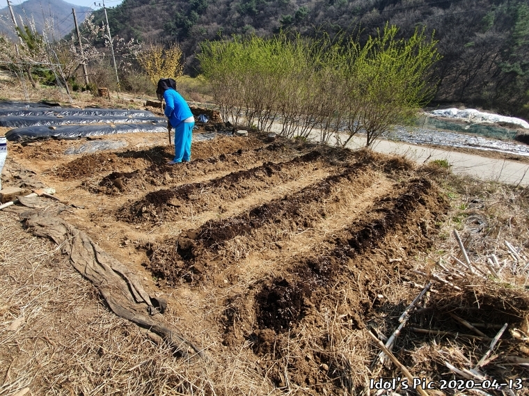 farm1002213903.jpg