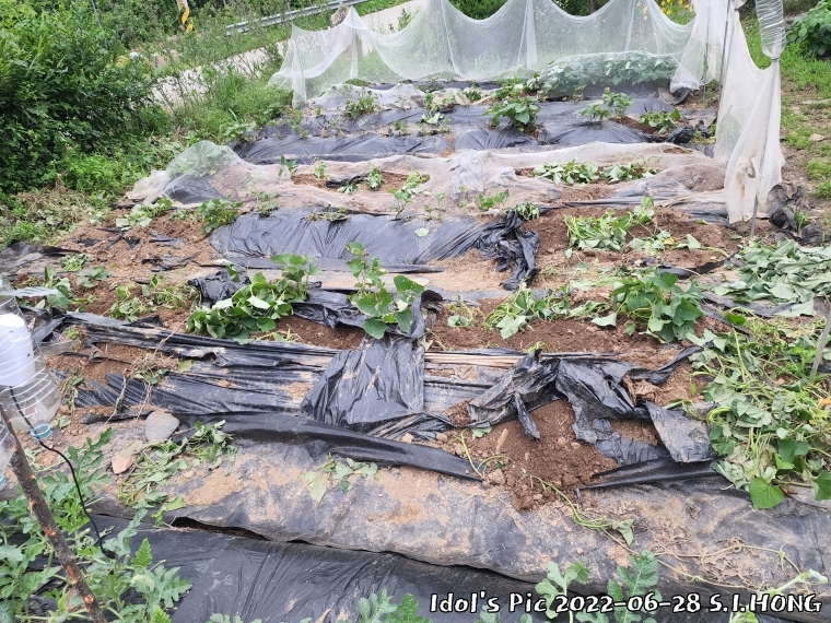 farm1003082667.jpg