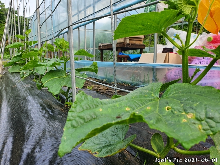 farm1003075031.jpg