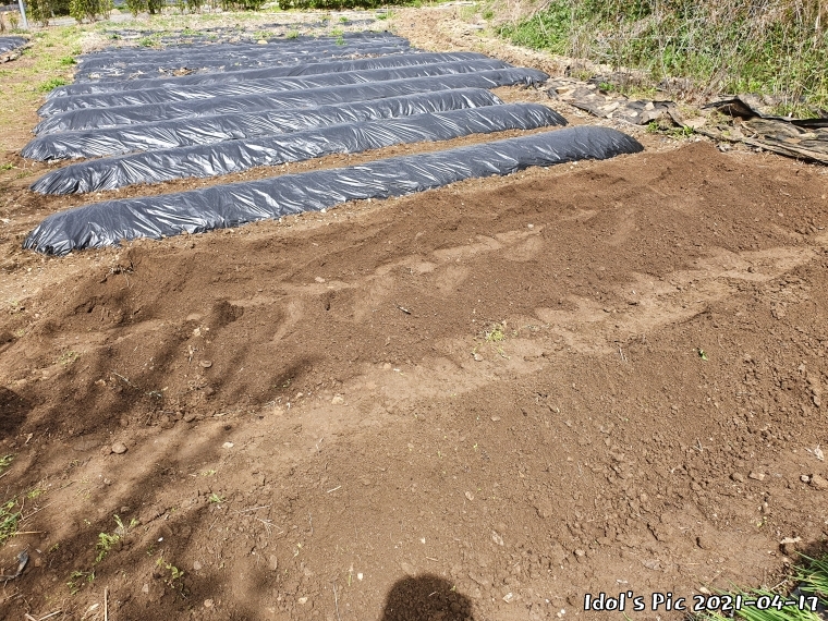 farm1003065639.jpg