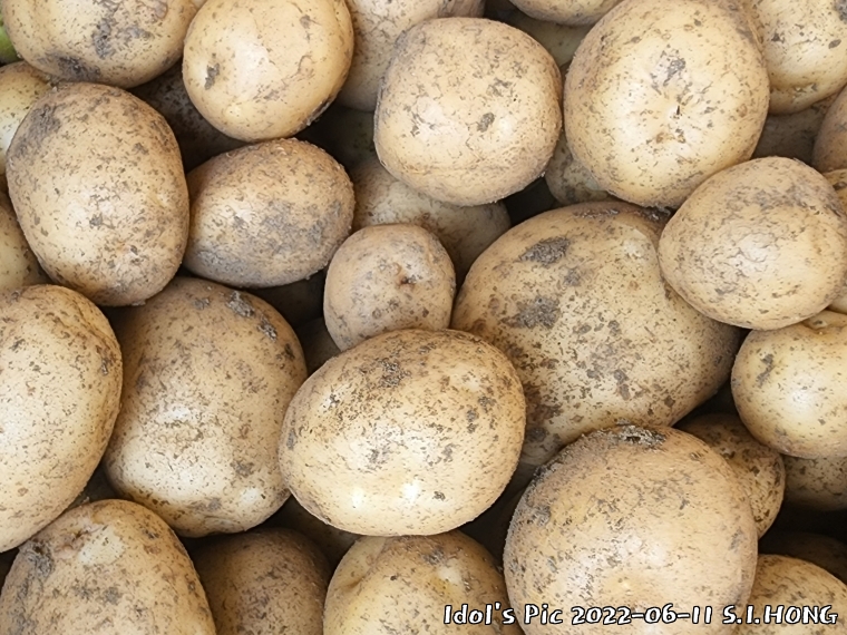 farm1003082636.jpg
