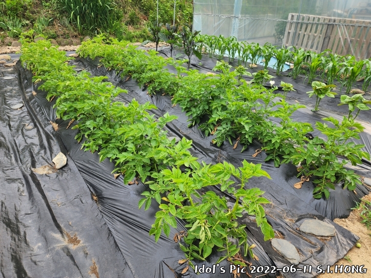 farm1003082631.jpg