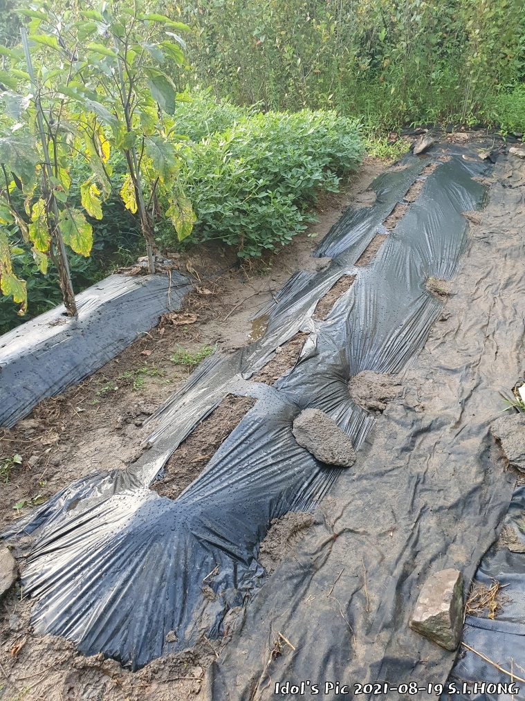 farm1003075069.jpg