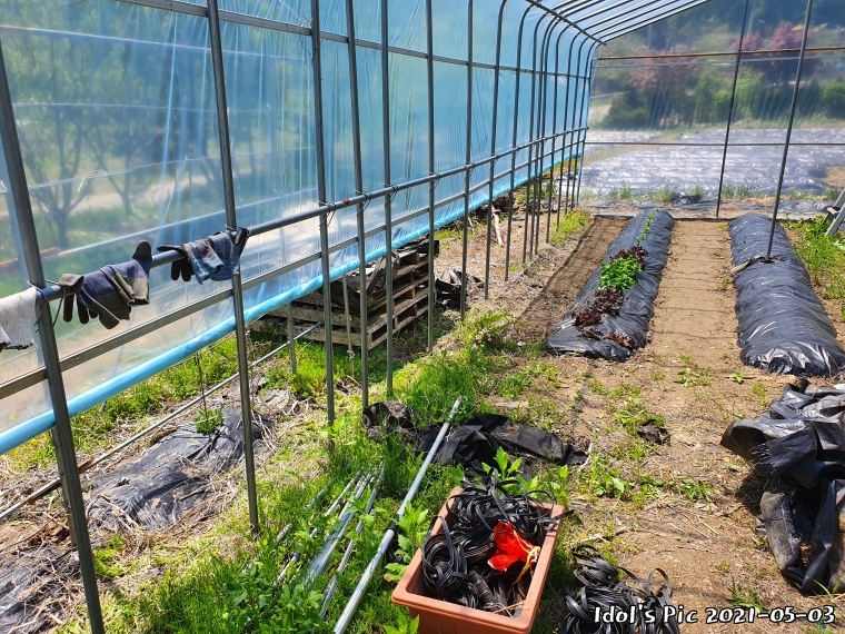 farm1003065690.jpg
