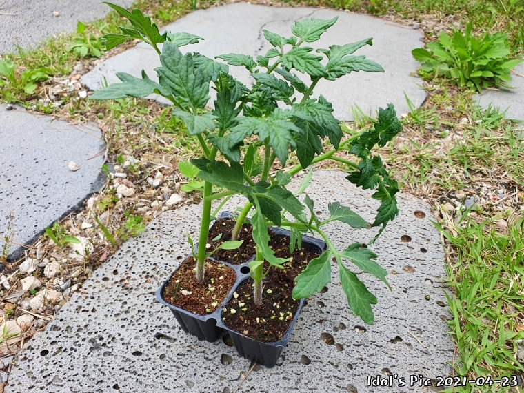 farm1003065653.jpg
