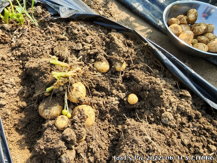 farm1003082633.jpg