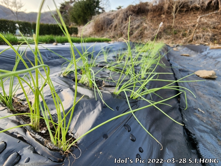 farm1003082608.jpg