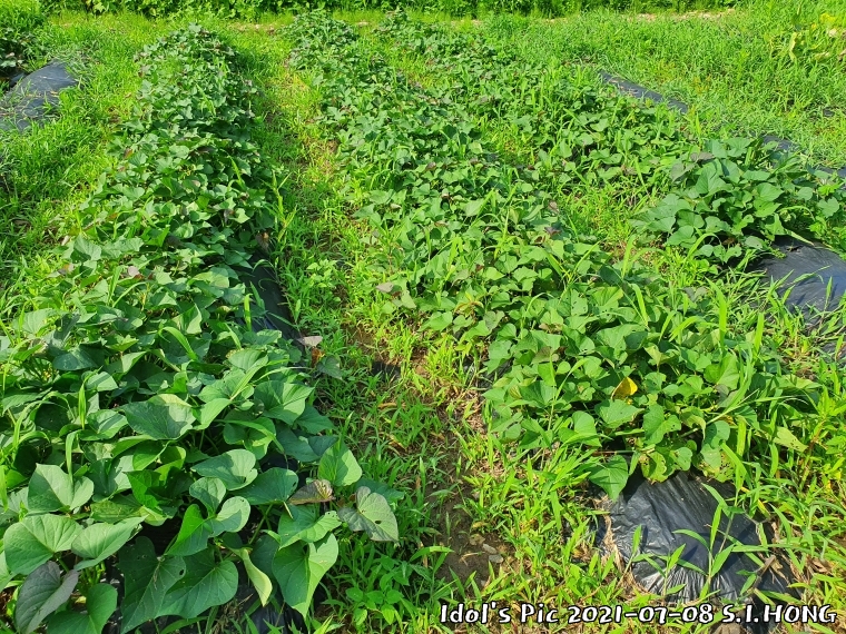 farm1003075054.jpg