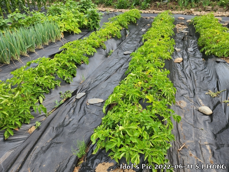 farm1003082632.jpg