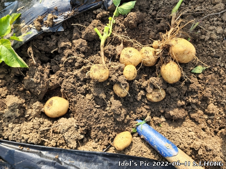 farm1003082634.jpg