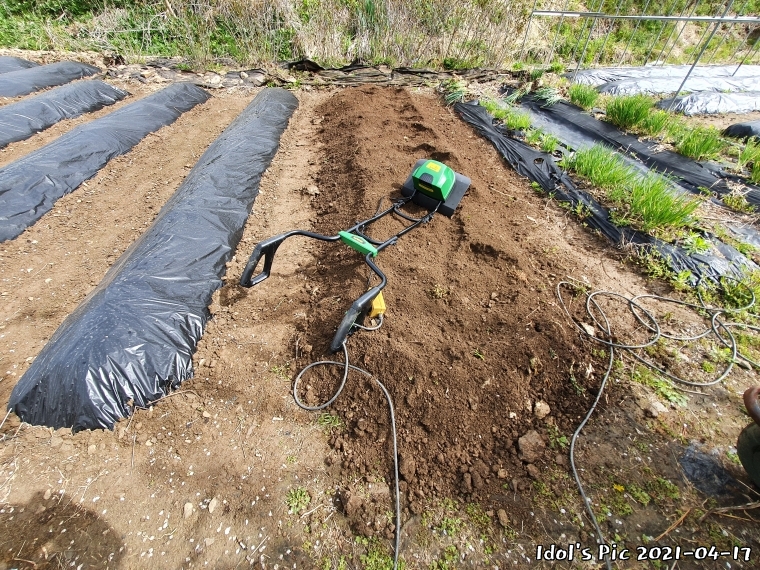 farm1003065638.jpg