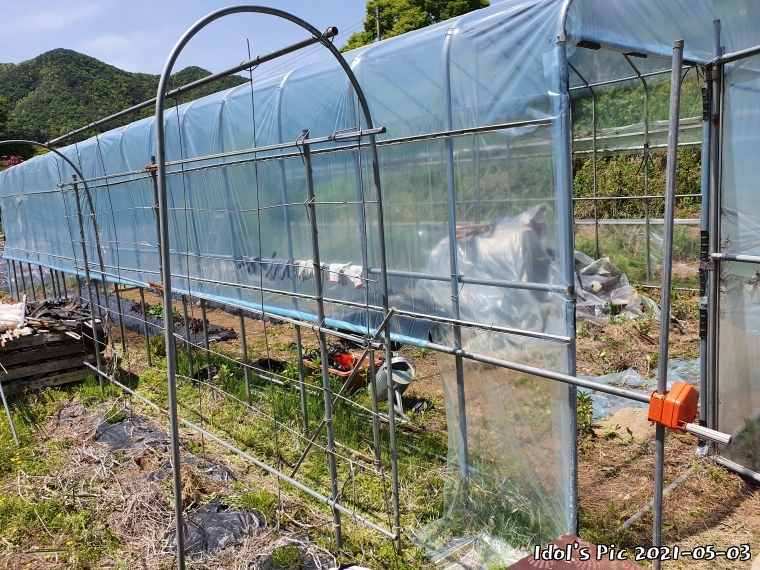 farm1003065691.jpg
