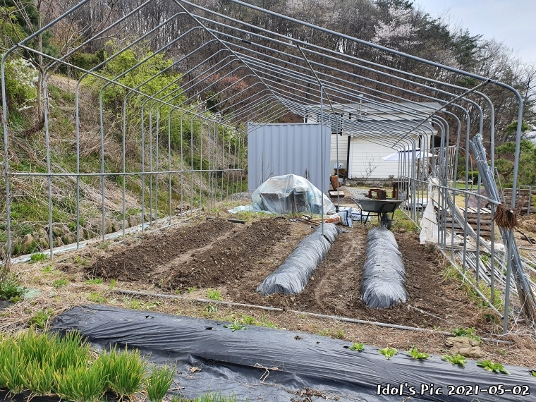 farm1003065682.jpg