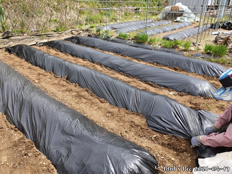 farm1003065641.jpg