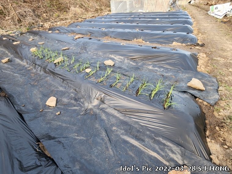farm1003082607.jpg