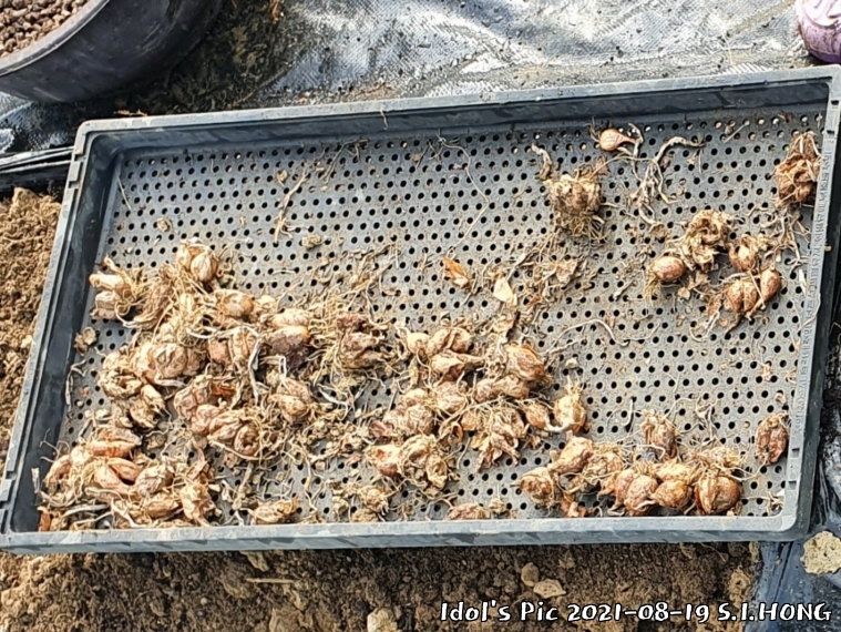 farm1003075064.jpg