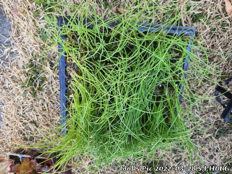 farm1003082606.jpg