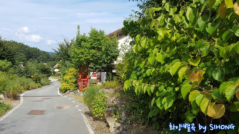 20160819_170519.jpg