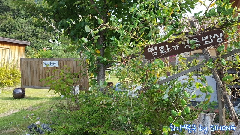 20160819_170446.jpg