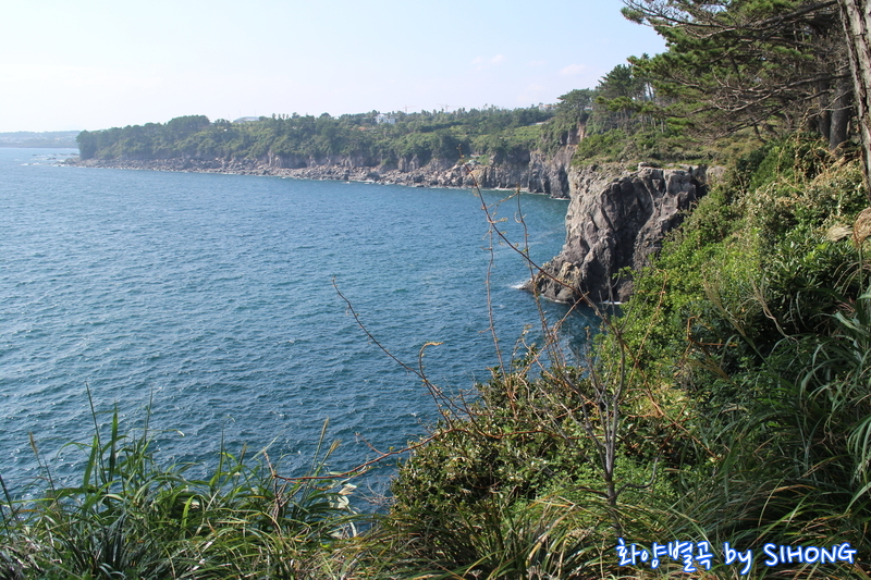 IMG_0080.JPG
